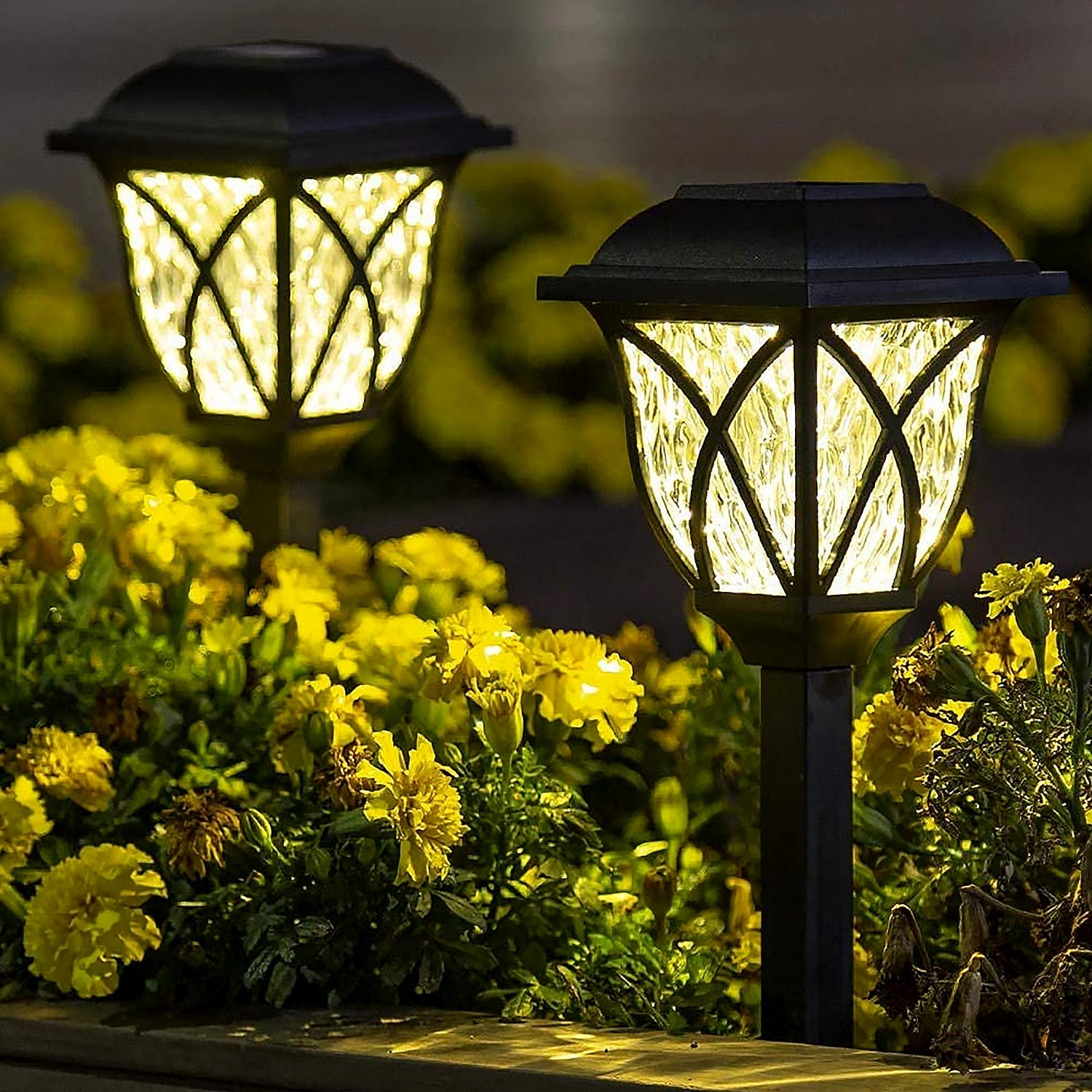 Solar light on grass Solar light on grass